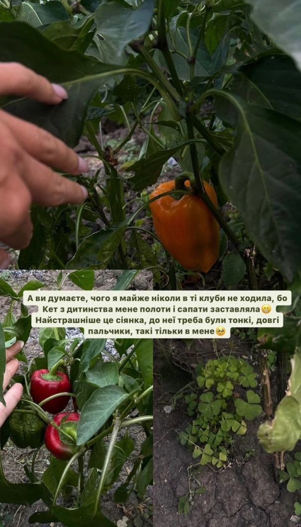 Леся Никитюк показала осень / © instagram.com/lesia_nikituk