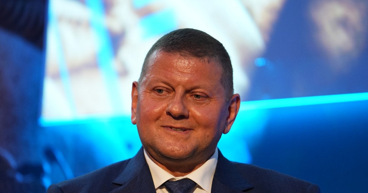 Валерий Залужный