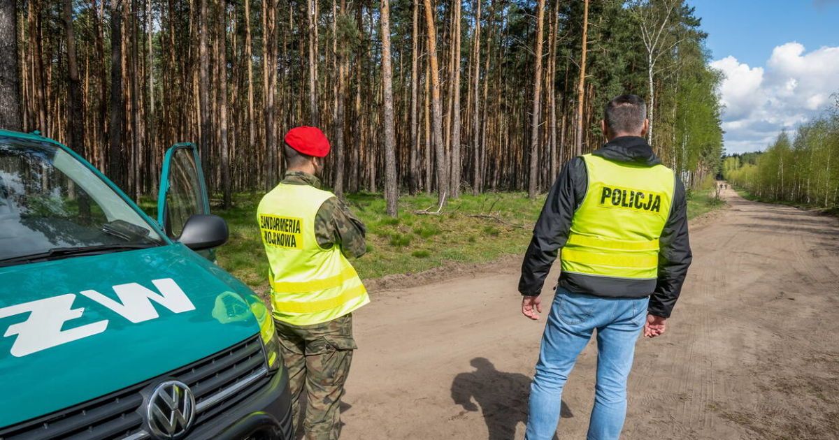 Місце, де знайшли ракету поблизу Бидгоща. Фото: PAP.