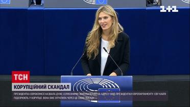 Скандал: у вице-президента Европарламента нашли сумки с полмиллиарда евро