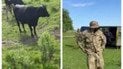 У соцмережах поширюють відео конфлікту між працівниками ТЦК та пастухом на Рівненщині