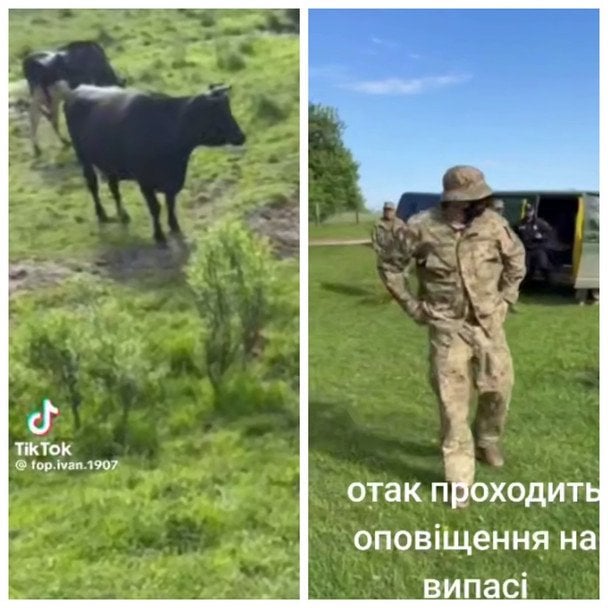 На Рівненщині два буси ТЦК хотіли мобілізувати чоловіка, який пас череду — соцмережі (відео)