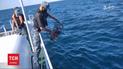В Одесской области спасли и выпустили в море 700 червнокнижних крабов