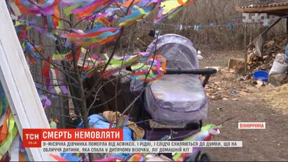 Домашний кот задушил 9-месячного младенца в Винницкой области