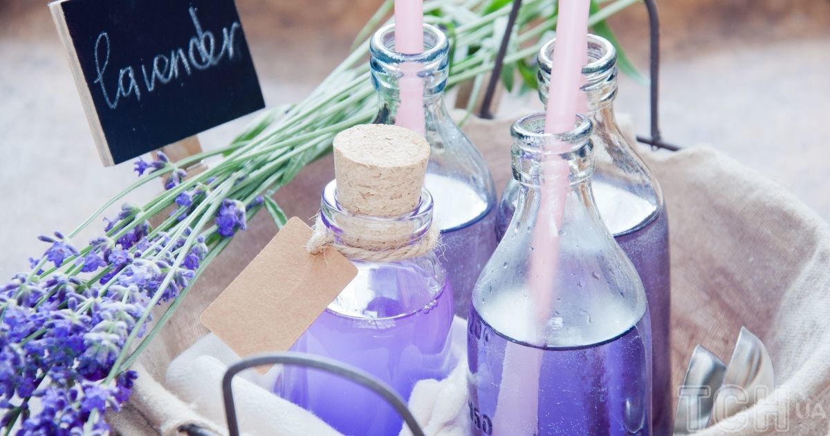 Топ-6 теплих напоїв, які допоможуть краще заснути взимку