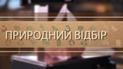 "Природний відбір": ТСН покаже спецпроєкт про екотренди та розвінчає популярні екологічні міфи