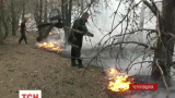 На Чернігівщині не можуть загасити лісову пожежу поблизу військового полігона в Гончарівському