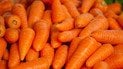 Які сорти моркви найкращі