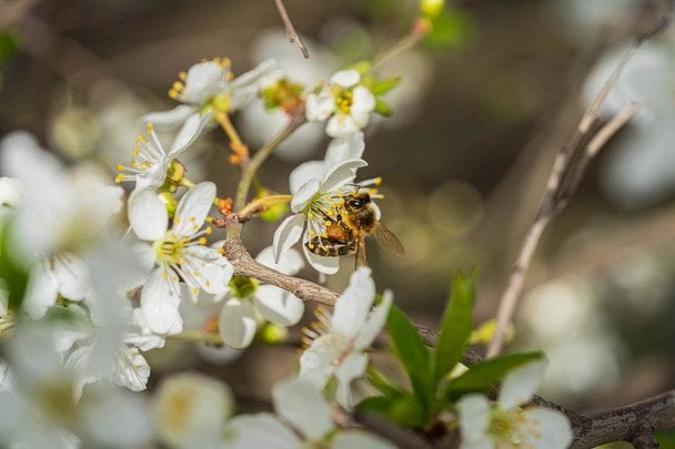 Народні прикмети 18 квітня / © pexels.com