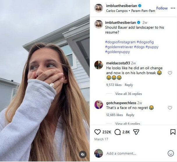 Скрін відео imbluethesiberian 