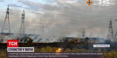 Новости Украины: в Днепропетровской области произошел масштабный пожар - горит сухостой