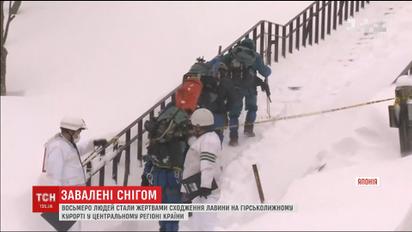 Восьмеро людей стали жертвами сходження лавини в Японії