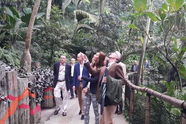 Герцогиня Кембриджская и принц Уильям в Корноулле / © twitter.com/kensingtonroyal