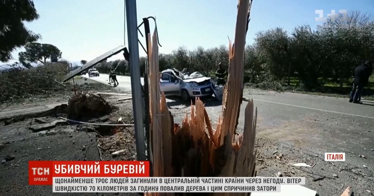 Италия страдает от ветра: деревья падают на людей в Риме и Неаполе