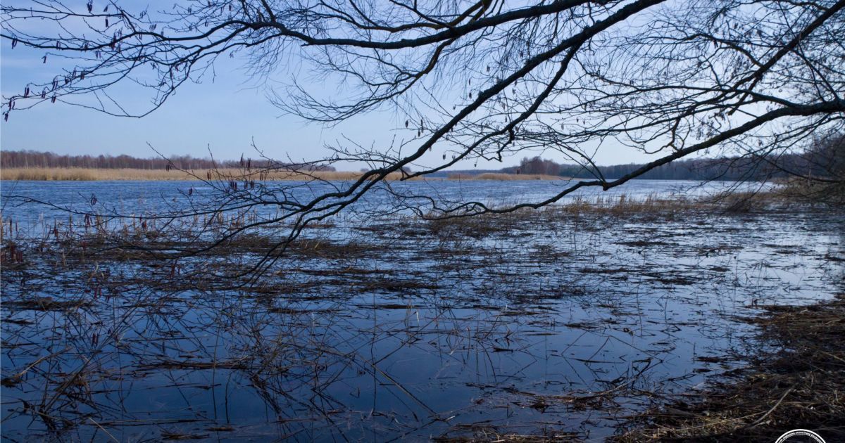 На річці Уж затоплення заплави почалось кілька тижнів тому / © Чорнобильський радіаційно-екологічний біосферний заповідник