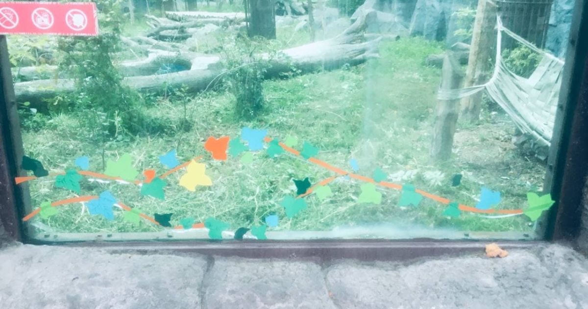 В Києві у зоопарку тріснуте скло у вольєрі з ведмедями заклеїли аплікацією