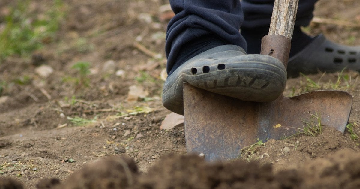 Що не можна робити на Вербному тижні