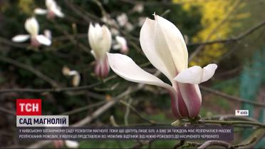 В Ботаническом саду имени Формина уже расцвели первые магнолии