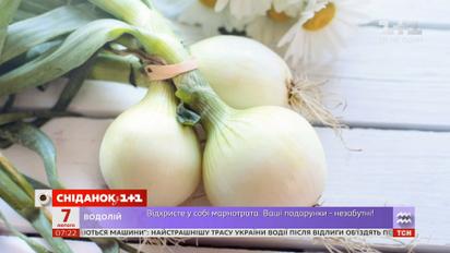 5 причин есть лук: чем он полезен для здоровья