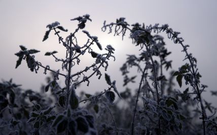 Синоптики попереджають українців про сильні заморозки. Прогноз погоди на 18 листопада