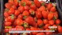 Ягодный сезон: сколько стоит клубника и черешня в разных регионах Украины