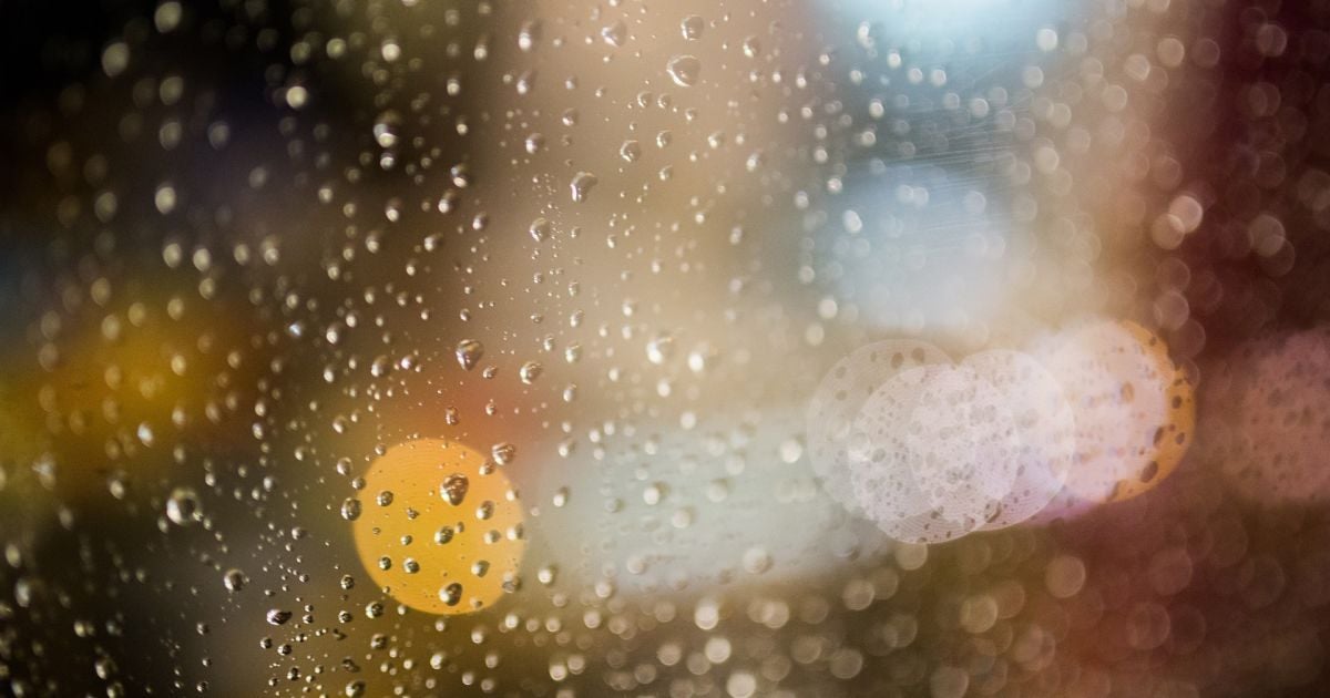 Як позбутися конденсату на вікнах