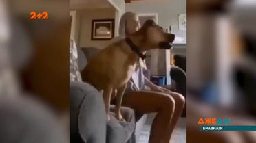 Огляд відео зі всього світу за 25 серпня 2020 року