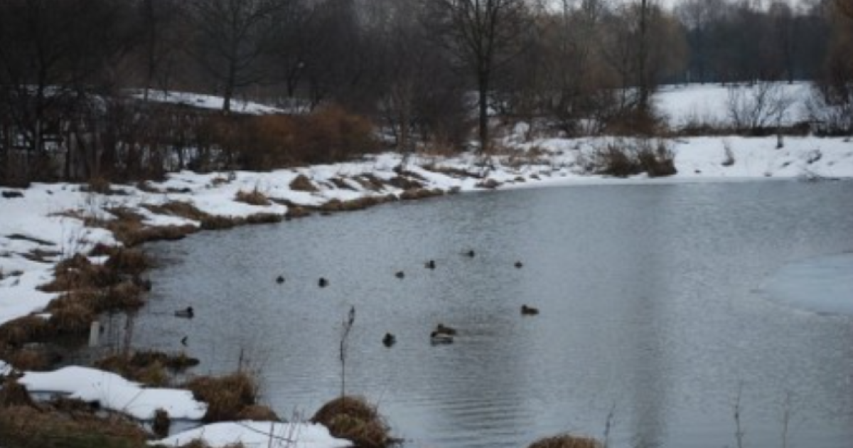 Парк 900-летия Луцка