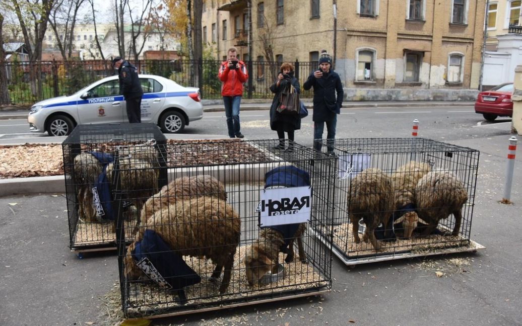 © Новая газета