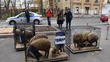 Посилка, Новая газета / © Новая газета