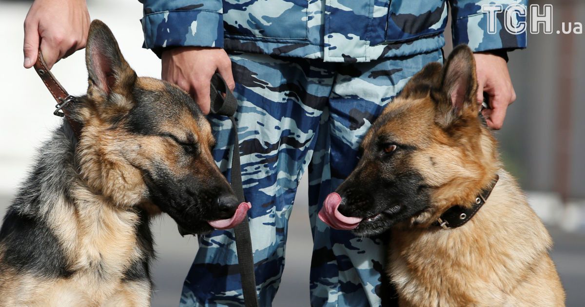 У Росії масово затримують прихильників опозиціонера, який напророкував революцію на 5 листопада
