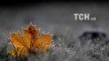 В Днепре спасли пенсионера после переохлаждения с температурой тела в 21 градус