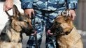 У Росії масово затримують прихильників опозиціонера, який напророкував революцію на 5 листопада