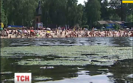 Украинцам рассказали, как пережить самые жаркие дни лета