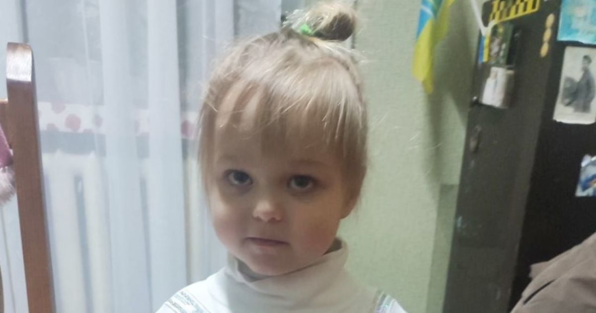 Фото: полиция Житомирской области