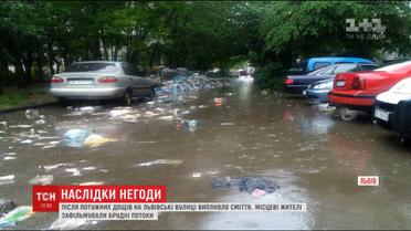 На Львівщині залишаються знеструмленими 38 населених пунктів