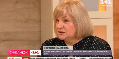 Заступниця міністра освіти Віра Рогова розповіла про освіту в умовах карантину