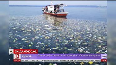 Єлизавета II оголосила війну пластику
