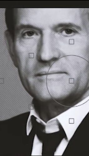 Медведчук: как и за чей счет кум Путина шагает в большую политику в интересах Порошенко