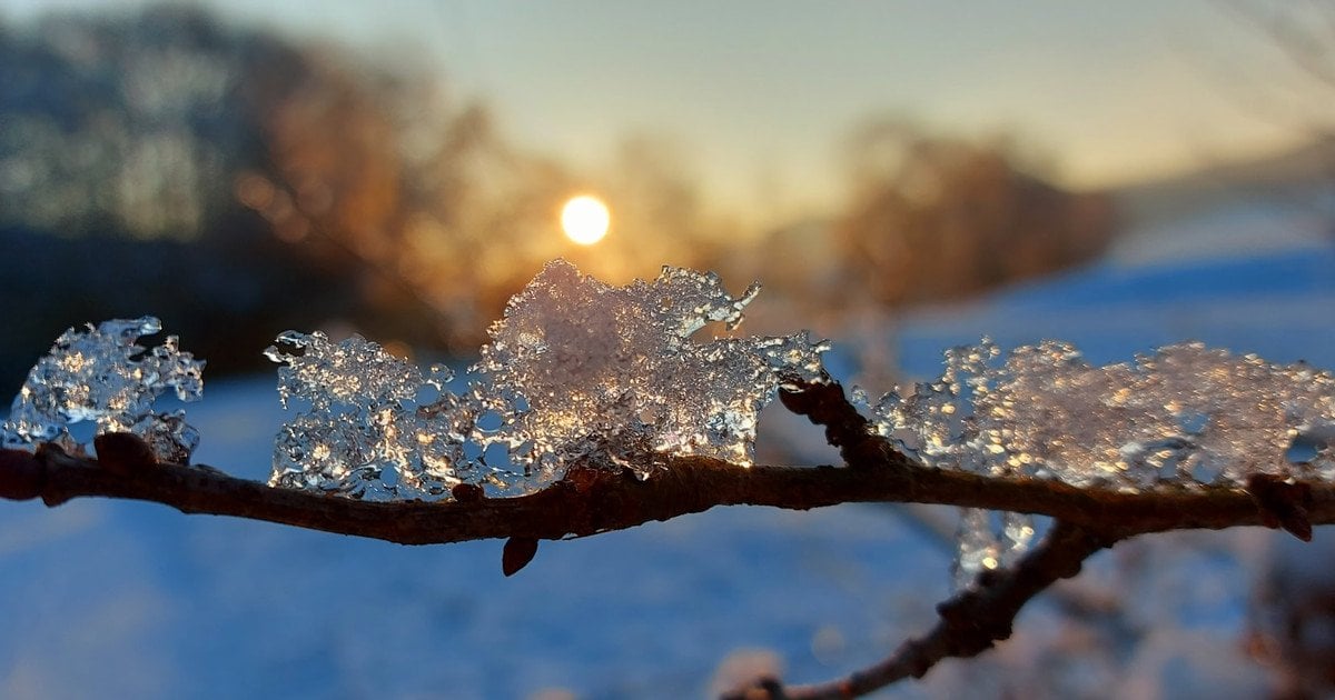 Який сьогодні, 10 січня, день ангела