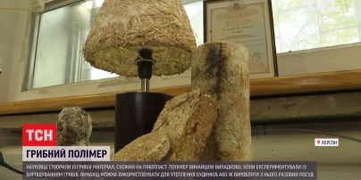 Випадковий винахід: херсонські науковці створили пластик із грибів