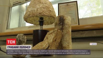 Випадковий винахід: херсонські науковці створили пластик із грибів