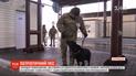 Пограничники показали, как собака реагирует на лозунг "Слава Украине"