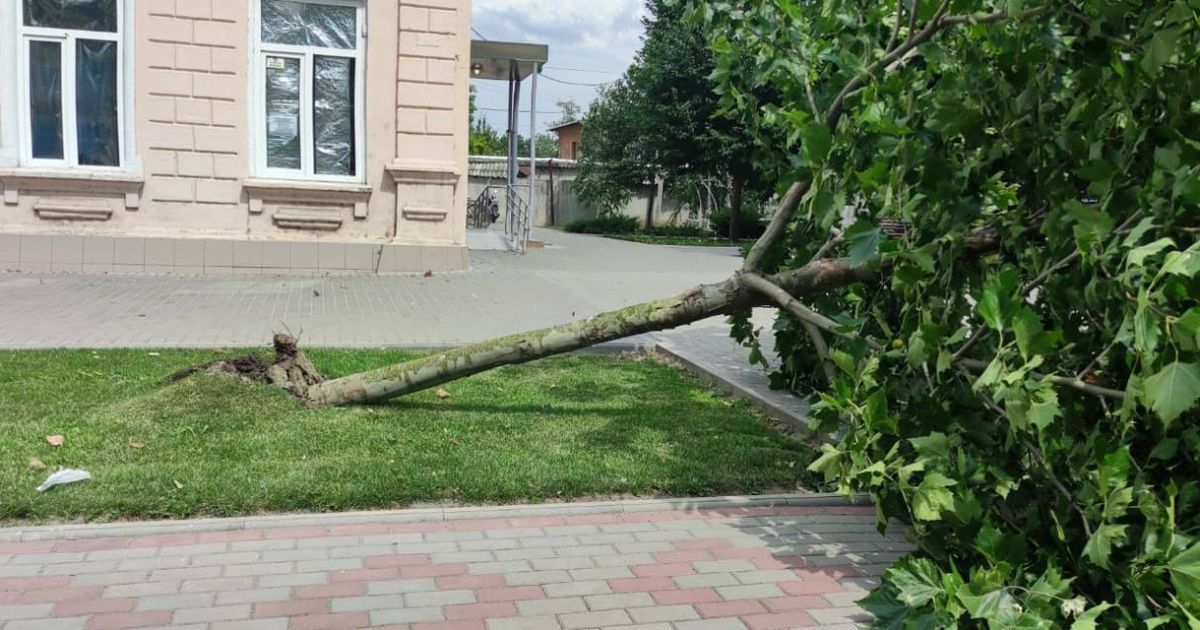 Повалені дерева, зірвані дахи та знеструмлення: негода накоїла лиха на Одещині (фото)
