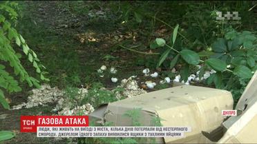 Жителі Дніпра потерпають від смороду через сотні тухлих яєць у посадці