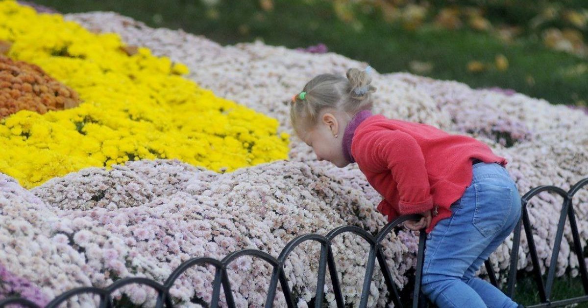 Сафарі в центрі столиці: від сьогодні на "Співочому полі" у Києві стартує нова виставка квітів