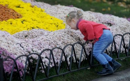 Сафарі в центрі столиці: від сьогодні на "Співочому полі" у Києві стартує нова виставка квітів