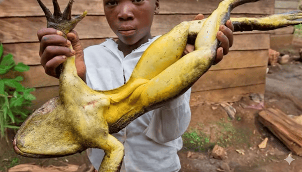 У довжину жаби-голіафи можуть вирости до 75 см / © скриншот з відео