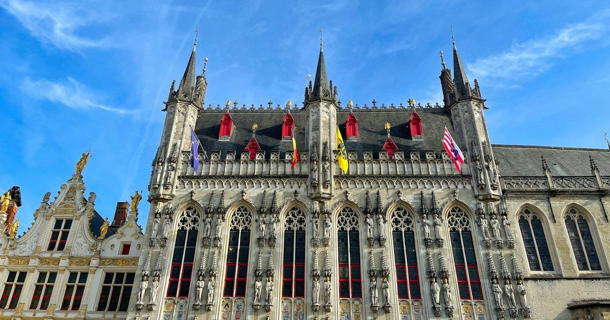 Украинские беженцы в Бельгии