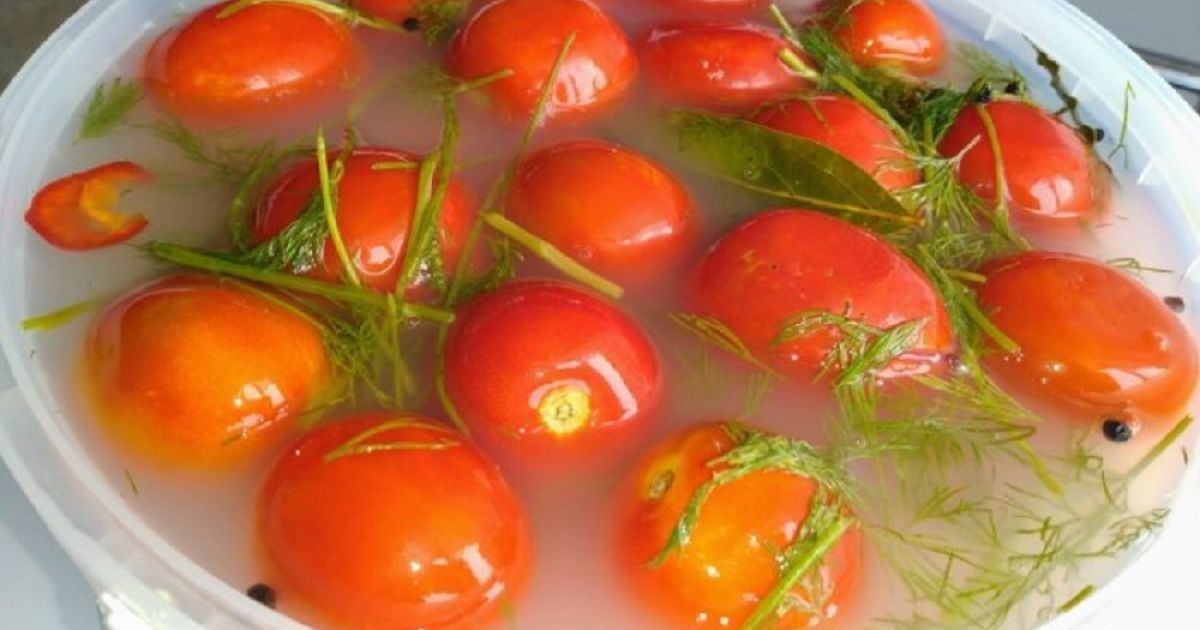 Засолка помидоров холодным способом рецепт | Кашевар